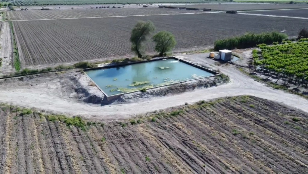 Campo en Venta - Foto 2