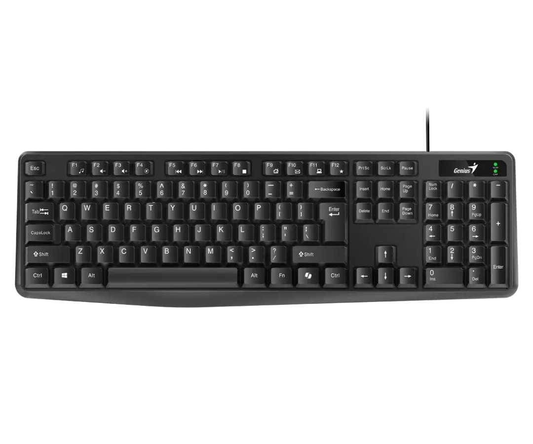 TECLADO GENIUS USB KB117
