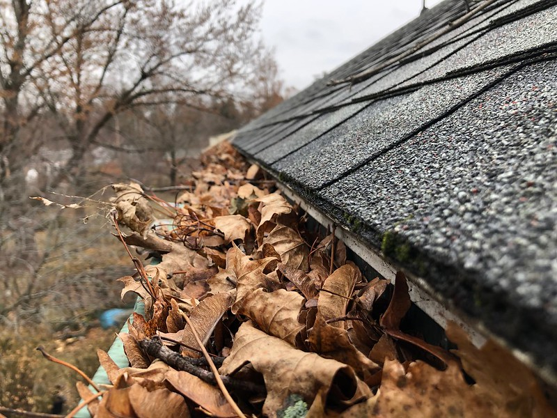 Leaves in gutter