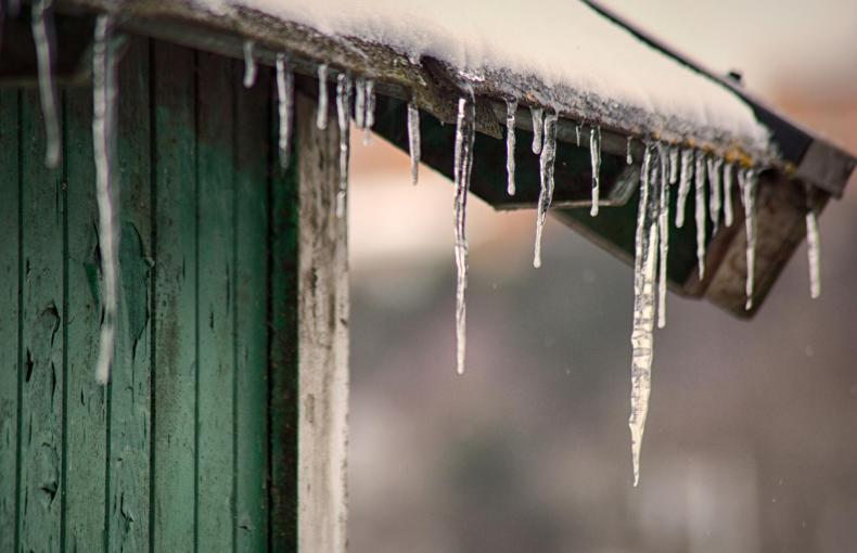 Why Fall Maintenance is Important for Your Shed