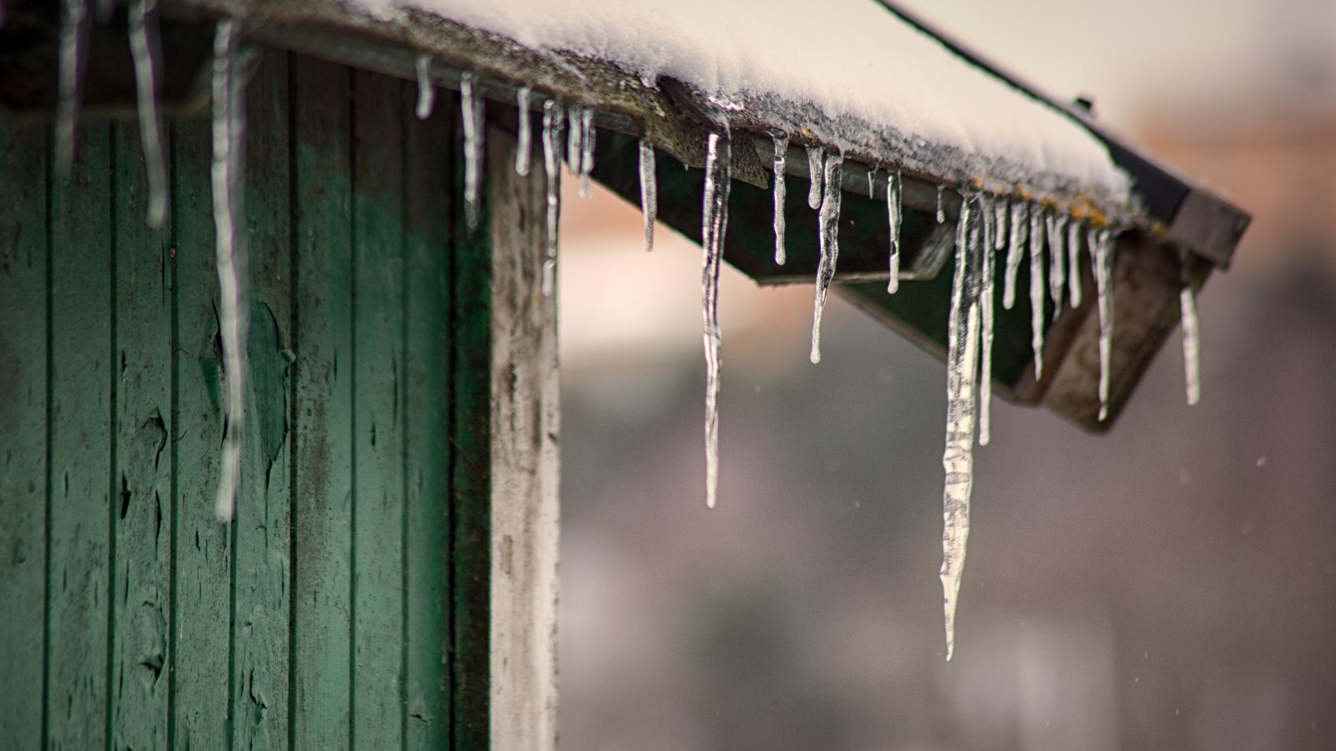 Why Fall Maintenance is Important for Your Shed