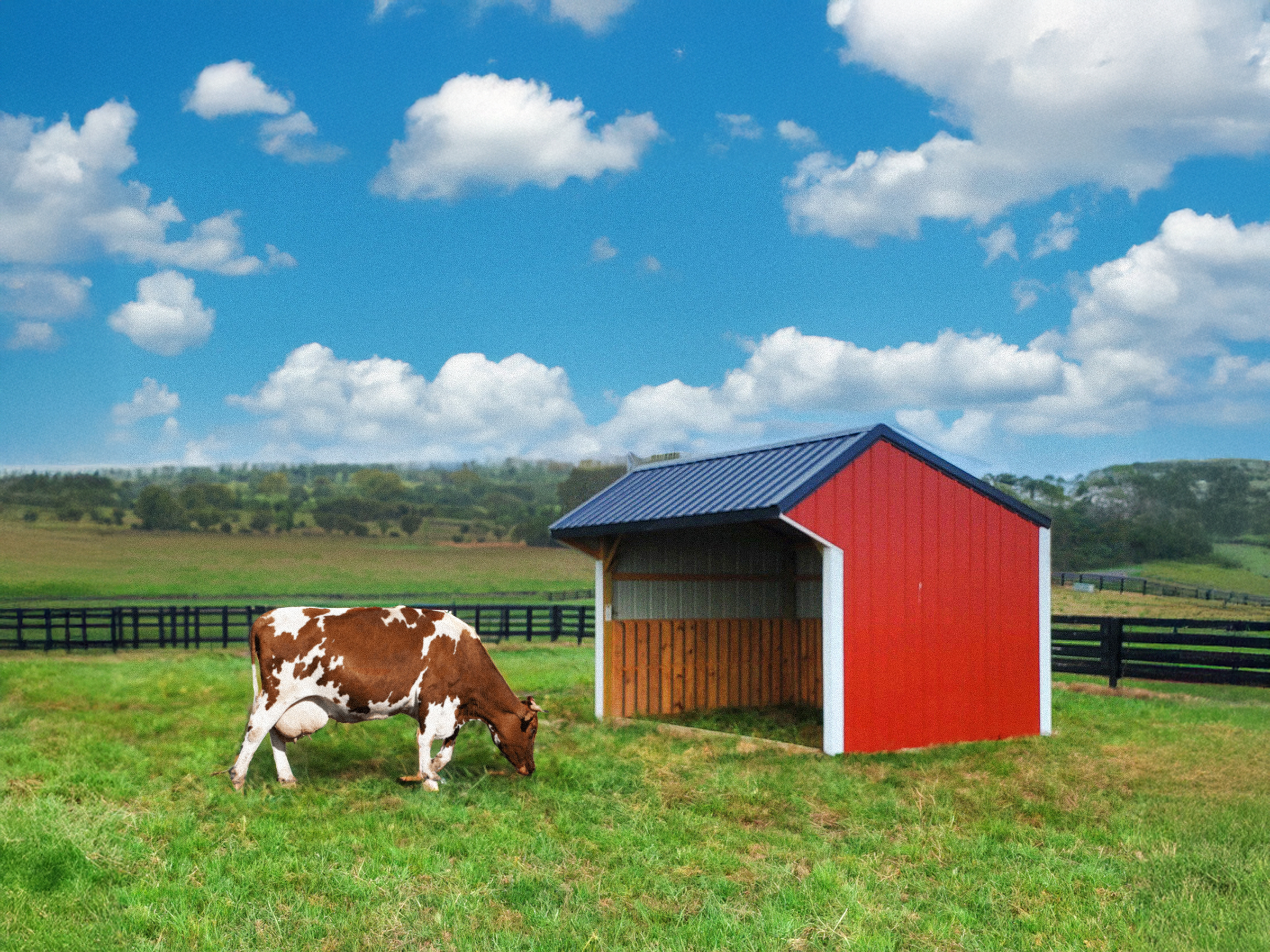 Run-In Sheds