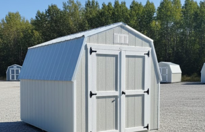 8 X 10 Compass Series Mini Barn