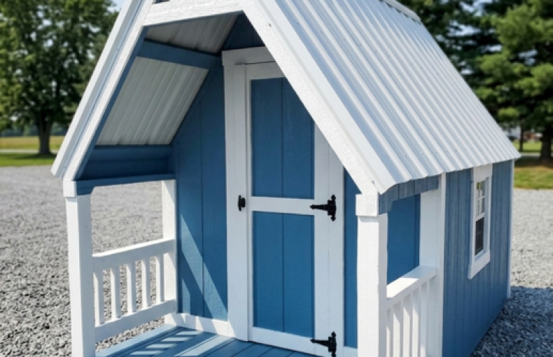 6 X 10 Shed