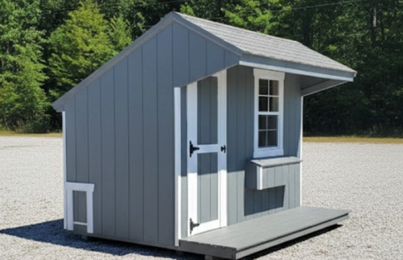 8 X 10 Chicken Coop Porch