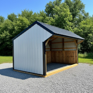 12 X 16 Run-In Shed