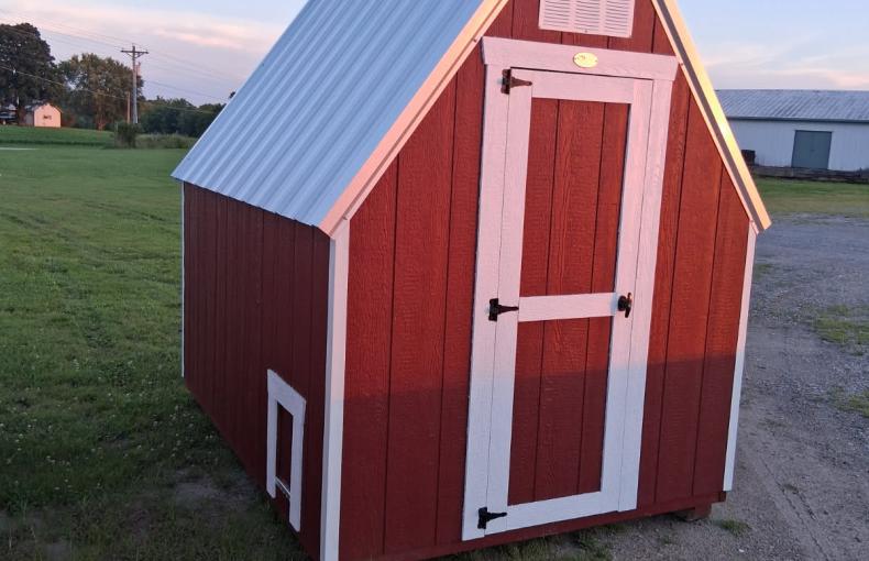 6 X 8 Shed