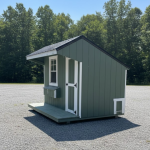 8 X 10 Chicken Coop Porch