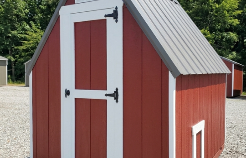 6 X 8 Chicken Coop