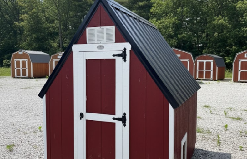 6 X 8 Chicken Coop