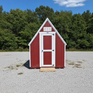 6 X 8 Chicken Coop