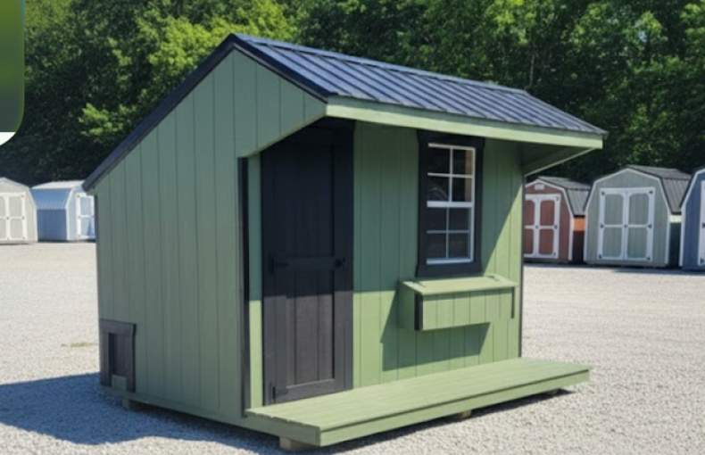 8 X 10 Chicken Coop