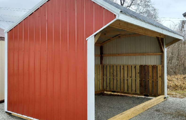 12 X 16 Run-In Shed