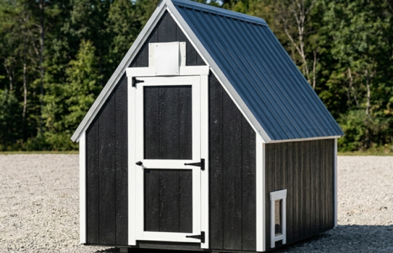 6 X 8 Chicken Coop