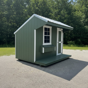 8 X 10 Chicken Coop