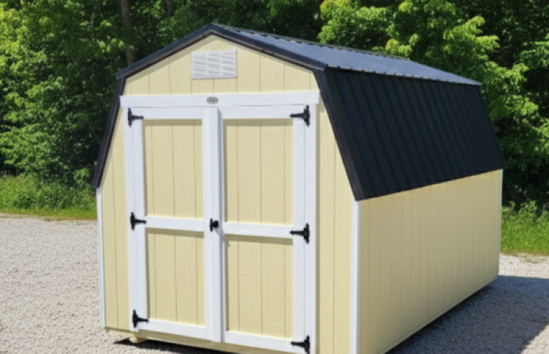 8 X 12 Compass Series Mini Barn