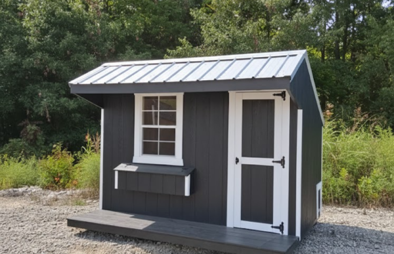 8 X 10 Chicken Coop Porch