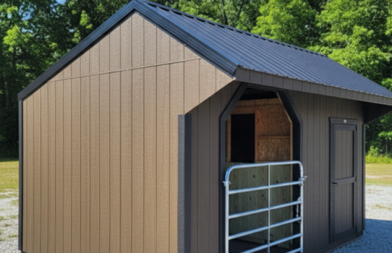 12 X 16 Run-In Shed