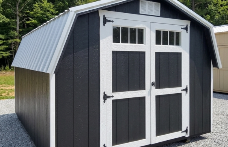 10 X 12 Compass Series Mini Barn