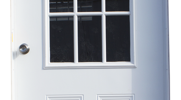 Steel Insulated Door 9-lite 