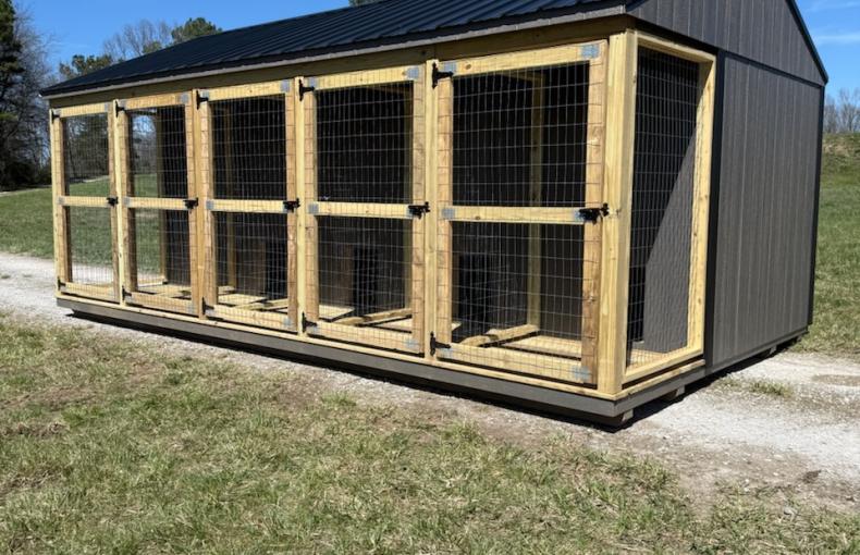 12 X 20 Shed