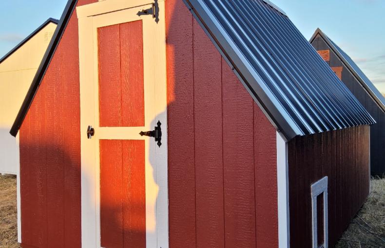 8 X 12 Chicken Coop