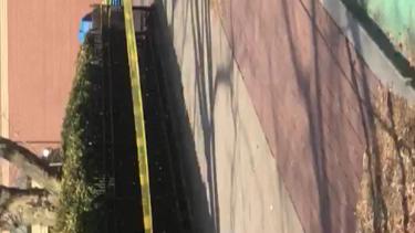 Video 7