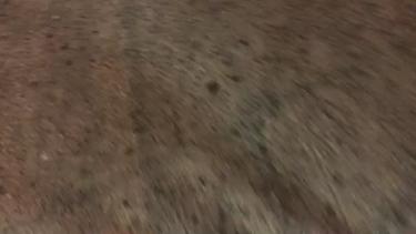 Video 17