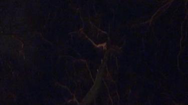 Video 25