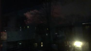 Video 15