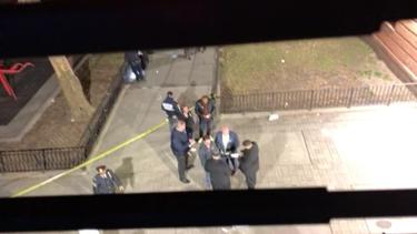 Video 5