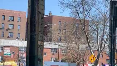 Video 1