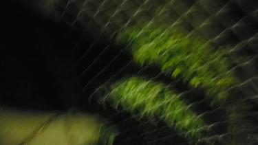 Video 3