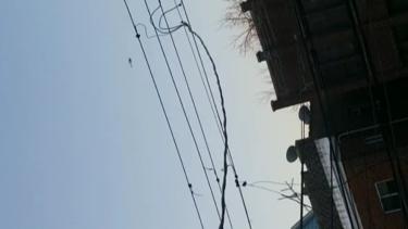Video 3