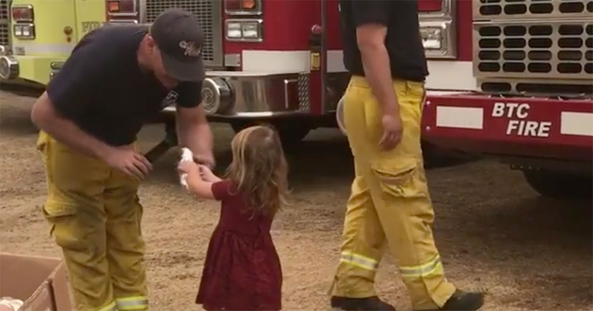 toddler feeds firefighters