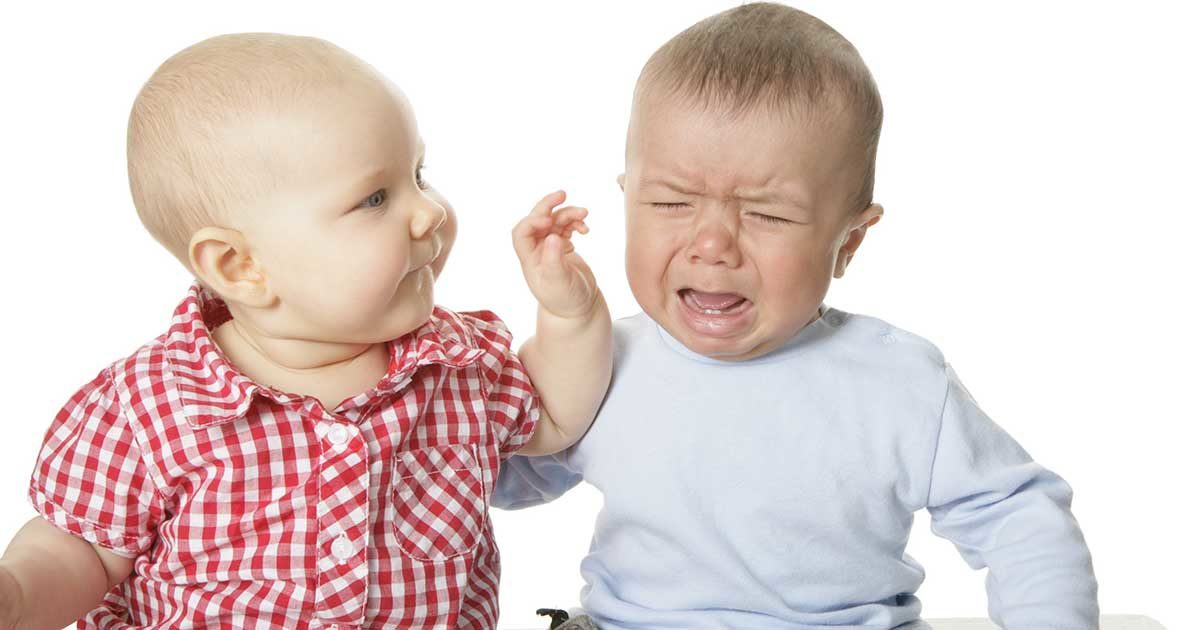 These Babies Play-Fighting Is All You Need to Get Through the Day