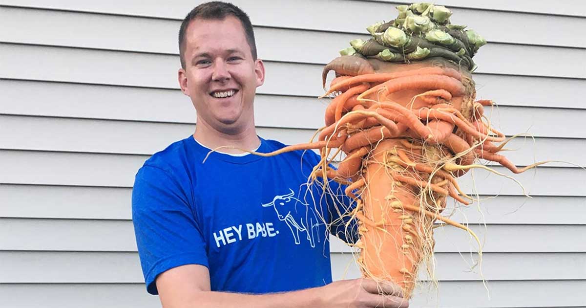 Christopher Qualley carrot