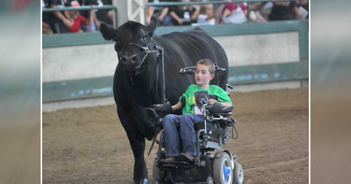 cow whisperer