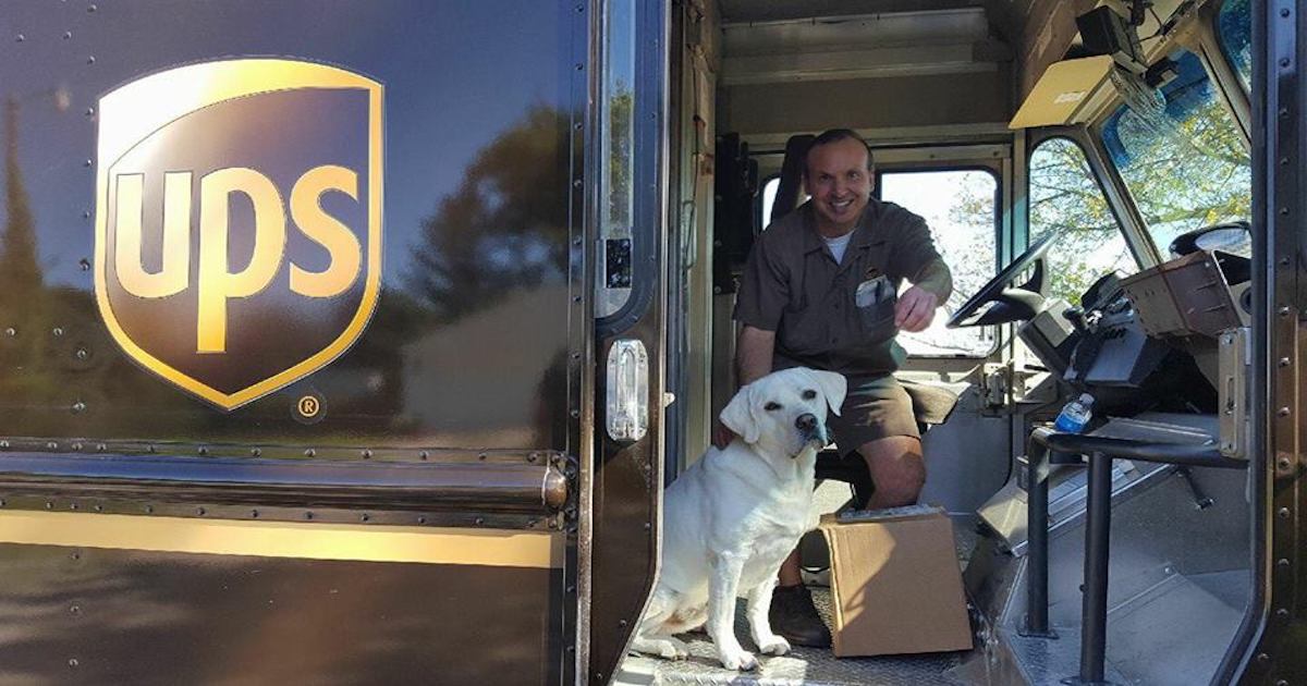 Facebook/UPS DOGS