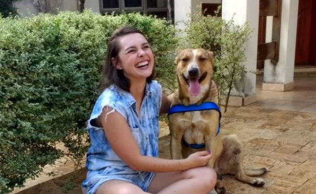 dog crashes a wedding