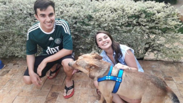 dog crashes a wedding