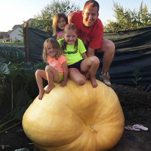 Christopher Qualley carrot