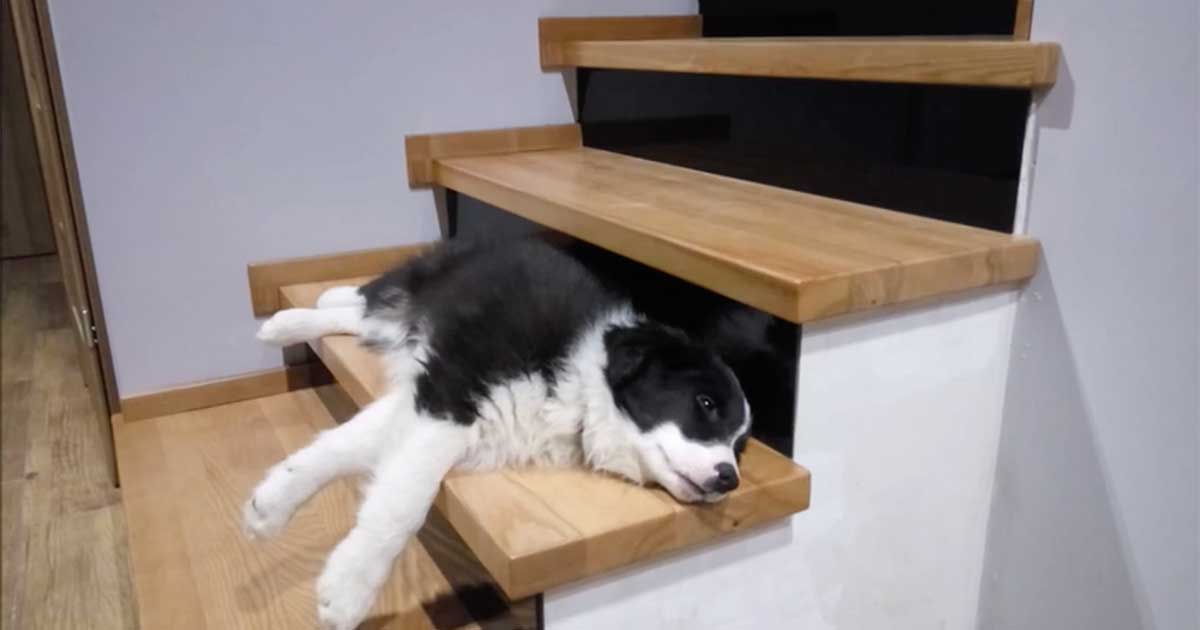 down the stairs