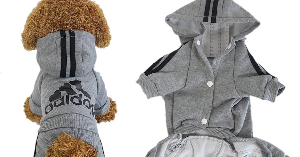 gifts for dogs