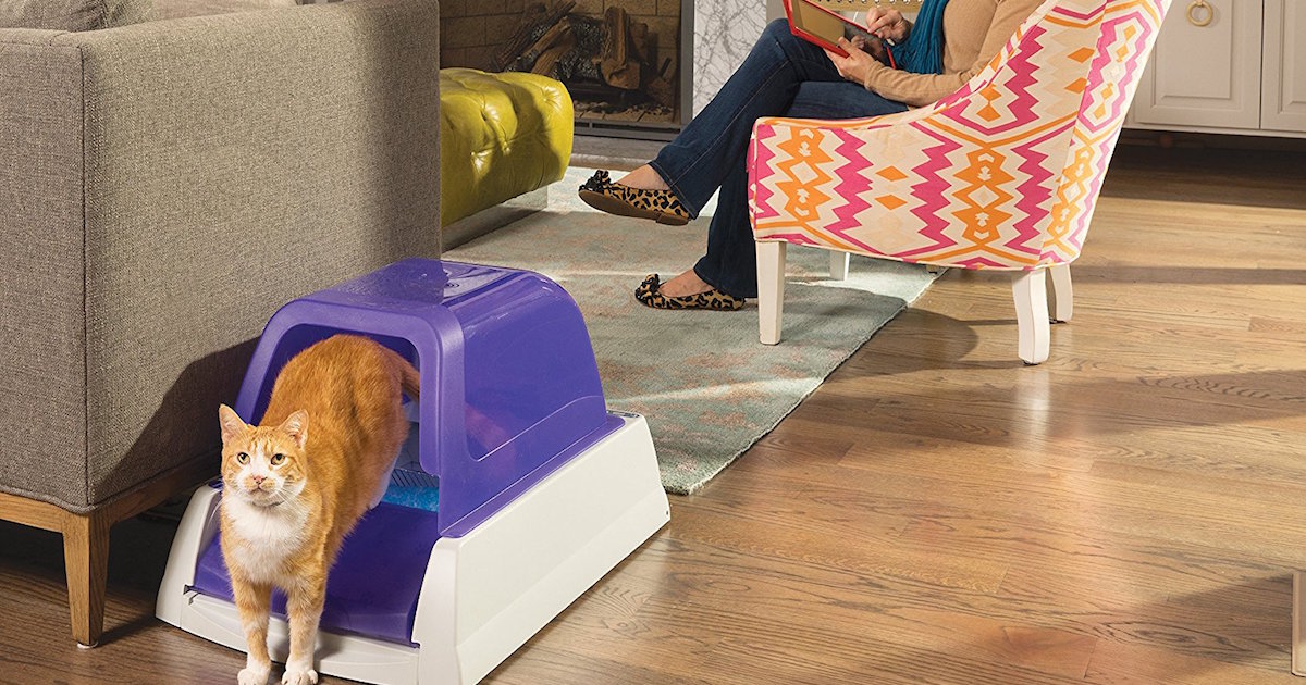 gifts for cats