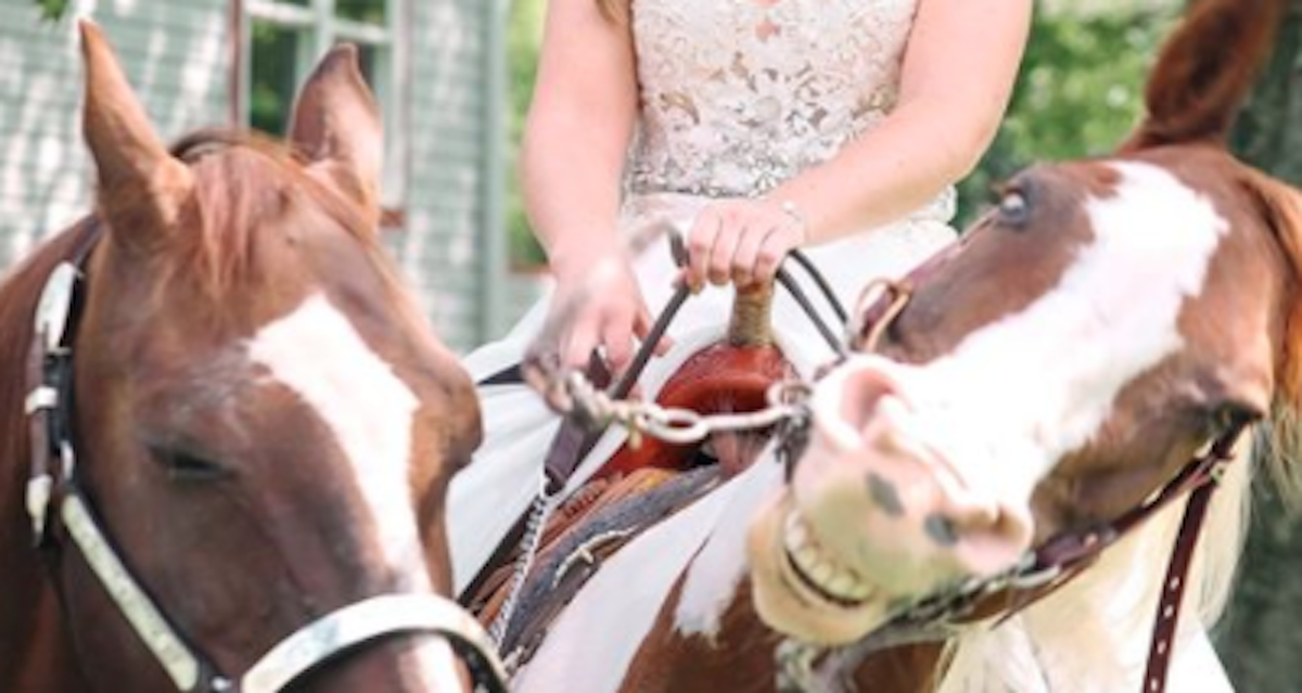 Patti Womer horse wedding