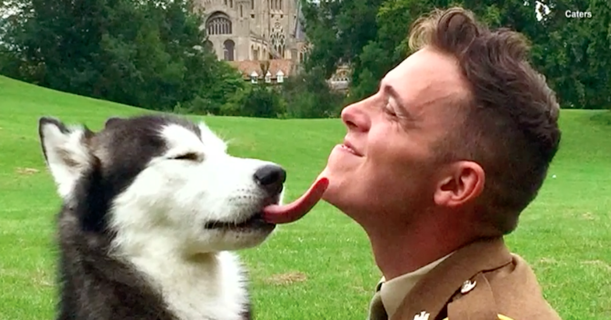 Adorable Husky Reunites