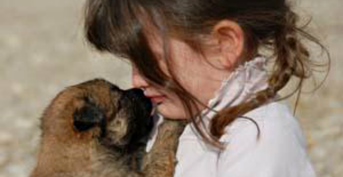 dogs comforting crying humans