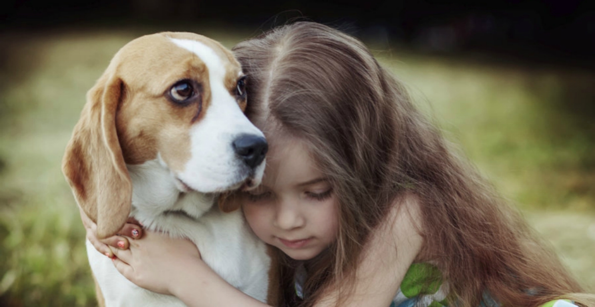 dogs comforting crying humans
