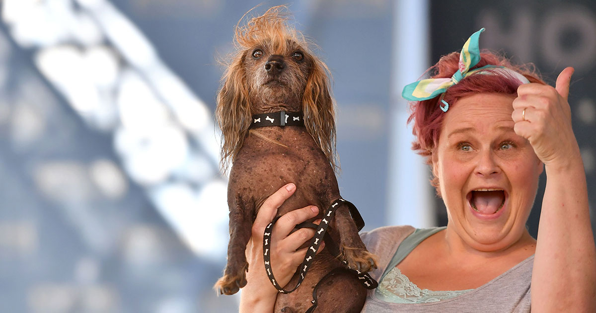 world's ugliest dog